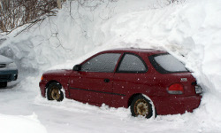 snow 呼死你电话轰炸机